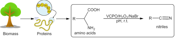 20160225_Andrada_scheme.png