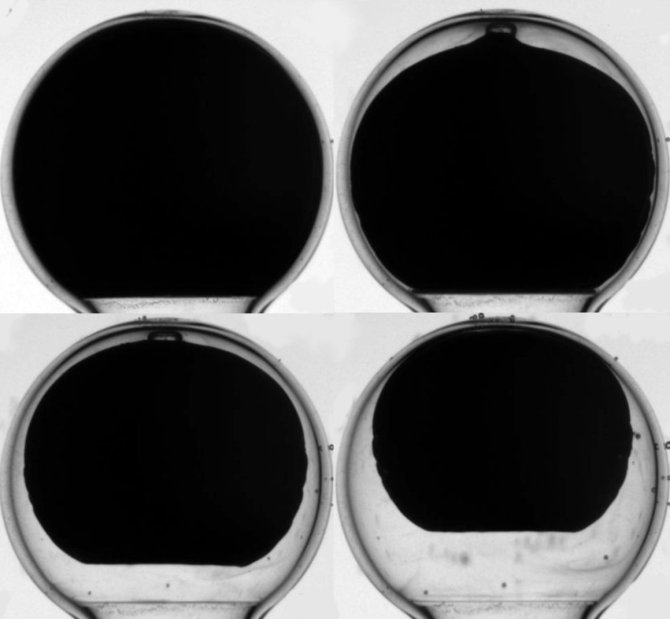 Een voorbeeld van synerese: de gel (zwart) laat langzaam water los.