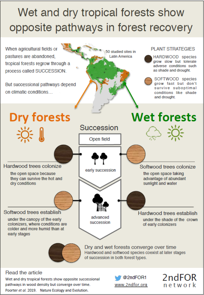 tropicalforestwetanddry_infographic.PNG