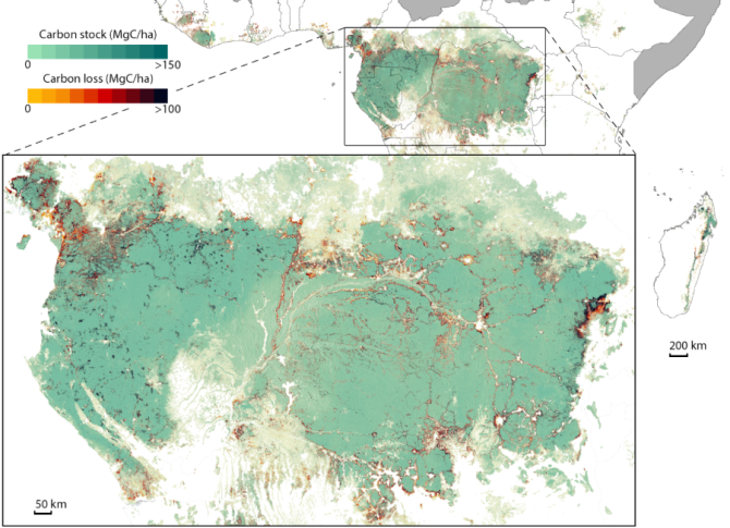 Carbon loss across Africa's rainforests in 2019 and 2020 (source: Rapid remote monitoring reveals spatial and temporal hotspots of carbon loss in Africa's rainforests)