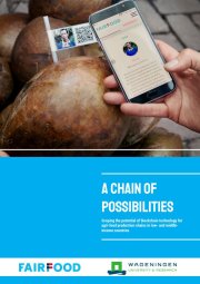 Scoping the potential of blockchain technology for agri-food production chains in low and middle income countries