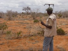 Tracking GPS collared elephants in the field