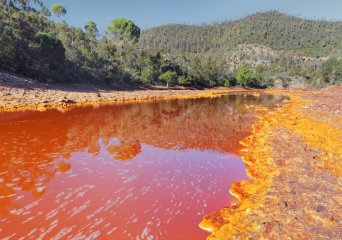 Sulphur Cycle