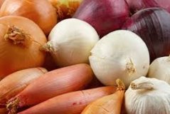 Garlic Onion.jpg