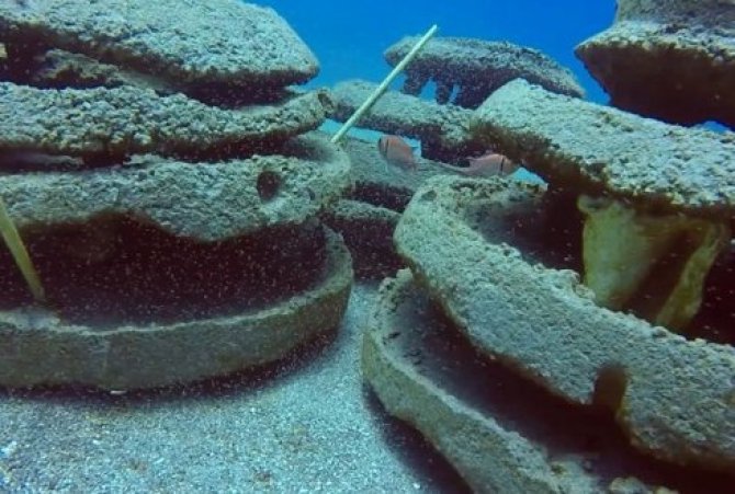 Artificial reef structures. Photo: A. Hylkema.