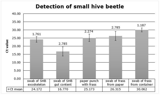 Figuur 1. Grafiek met resultaten van het swabben van de kleine bijenkastkever. Weergegeven zijn Ct-waarden van verschillende typen monsters, vlnr: een swab van een KBK (exoskelet), een swab van de buikinhoud, poep op papier, swab van poep op papier en een swab van poep op de wand van een monsterbuisje. 