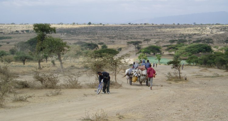 Typical landscape of the Central Rift Valley