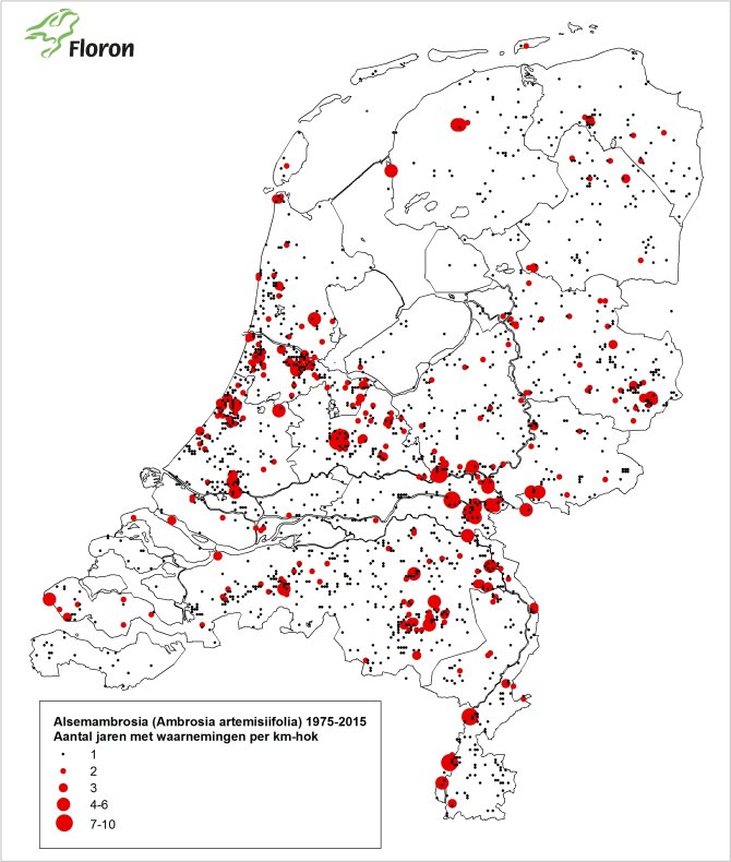 Hotspots van Alsemambrosia in Nederland op basis van aantal jaren met waarnemingen in de periode 1975 t/m 2015Hotspots van Alsemambrosia in Nederland op basis van aantal jaren met waarnemingen in de periode 1975 t/m 2015 (Bron: NDFF, De Natuurkalender Wageningen UR, Waarneming.nl, NVWA Ambrosia-App)  