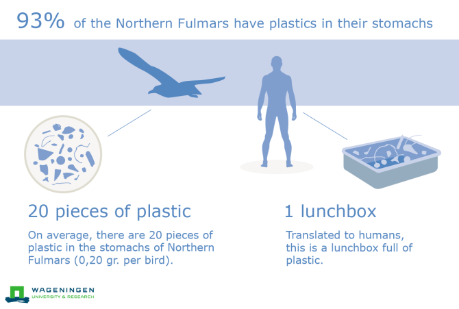 Source: <L CODE="C200">Van Franeker, J.A. & Kühn, S. 2020. Fulmar Litter EcoQO monitoring in the Netherlands - Update 2019. Wageningen Marine Research Report C074/20 & RWS Centrale Informatievoorziening BM 20.16.</L>