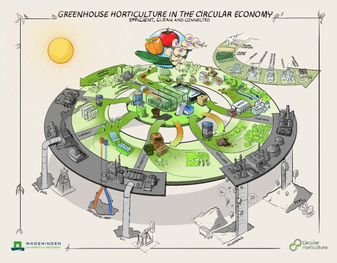 Guiding vision of the future for greenhouse horticulture in a circular economy; dependence on finite, raw materials from natural reserves is phased out. Instead, local, renewable sources are used as much as possible and material cycles are closed, in collaboration with other sectors.
