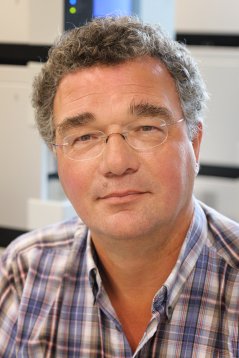 Henk Schols