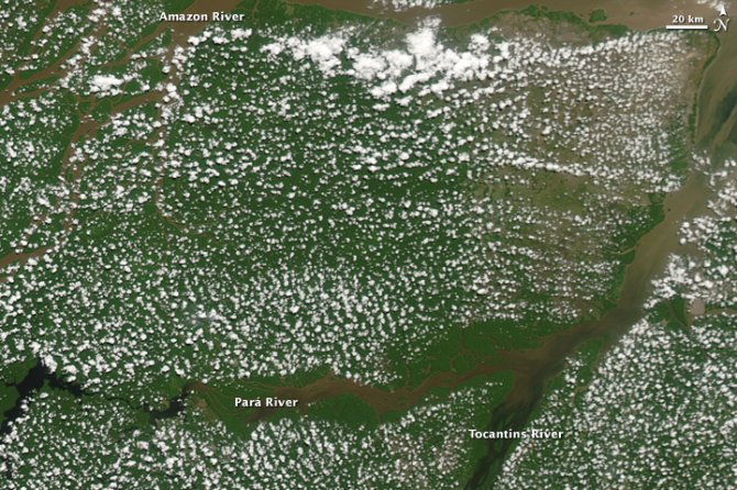 De satellietopname van regenwoud in Amazonegebied toont de relevantie van de kleine schaal. Terwijl het boven de rivieren wolkenvrij is, vormen zich mooi-weer wolkjes boven de bossen waar de vegetatie bijdraagt aan verdamping en het opstijgen van de warme, vochtige lucht - Middag van 19-8-2009 (Bron: NASA image courtesy Jeff Schmaltz, MODIS Rapid Response at NASA GSFC)