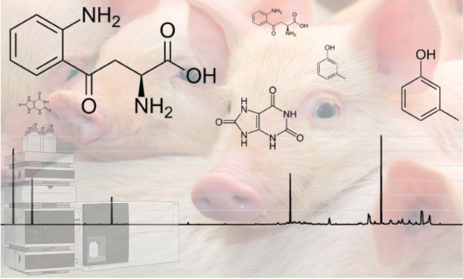 08 09 metabolites in pigs pig_metabs_biorendered.jpg