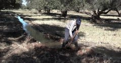Agrarisch waterbeheer in Marokko