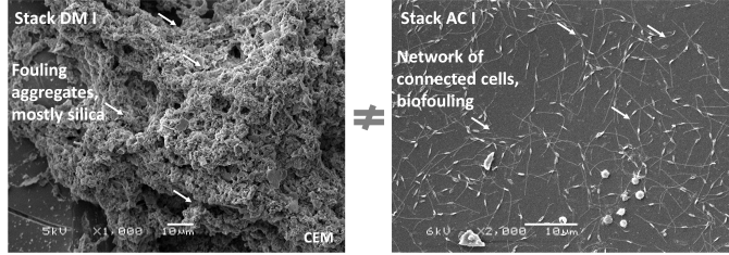 Fig 2. Fouled  membranes on a RED stack after different pre-treatments (dual media filter – DM and activated carbon – AC)