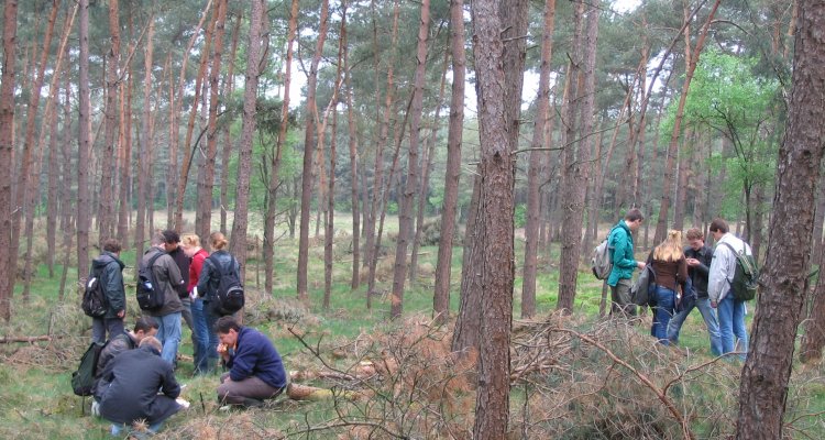 Education of the Forest Ecology and Management Group - WUR