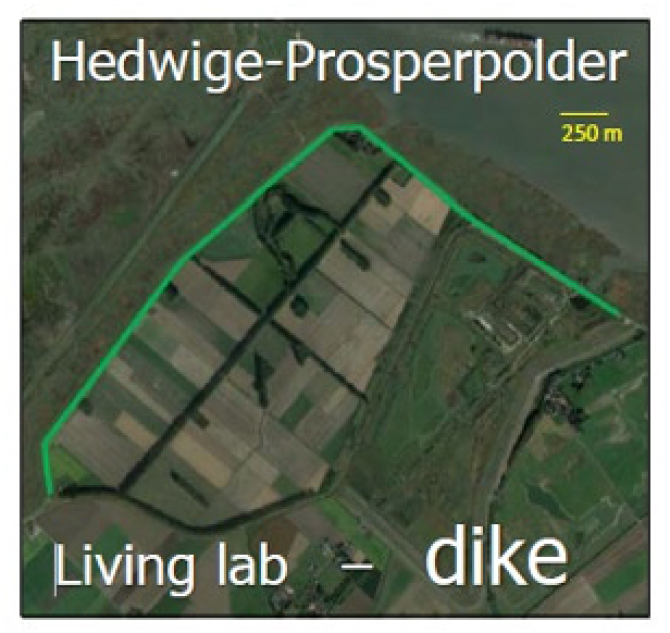 Hedwige-Prosperpolder.png
