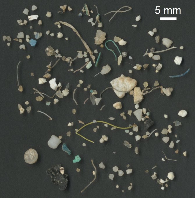 Photo example of SEA neuston net plastic particles (source SEA, G. Proskurowski and J. Donahue)