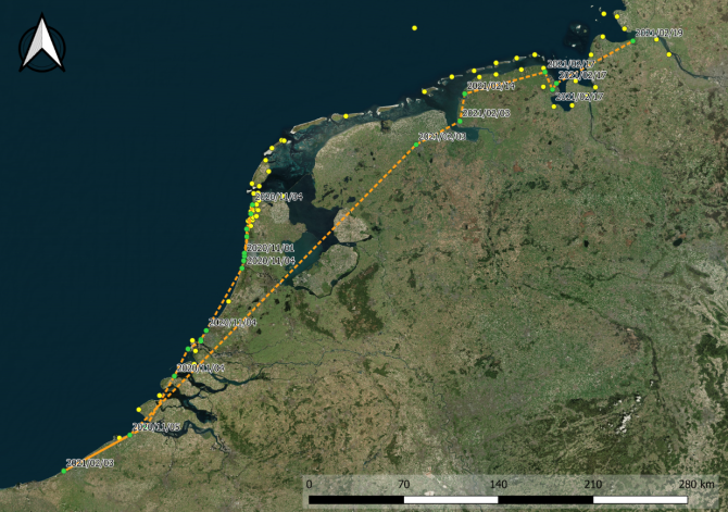 Flightpath of a skylark which flew in the night of 4 November 2020 in just over six hours from the northern part of North Holland to southern Belgium. During the night of 2 February 2021, it began its return journey via Groningen to Emden in north-western Germany. Two weeks later, the journey continued in small steps towards the northeast. 