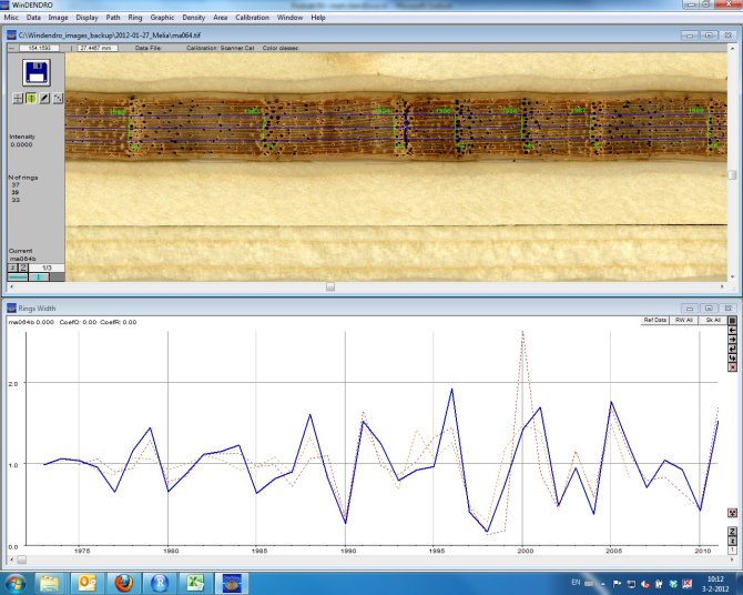 WinDENDRO image analysing software