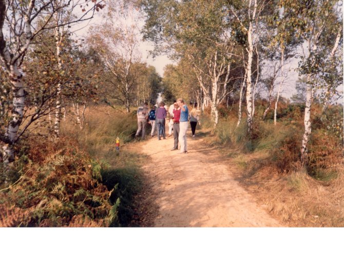 Labouting 1987