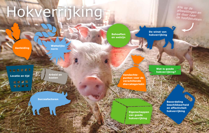 Brochure hokverrijking varkens