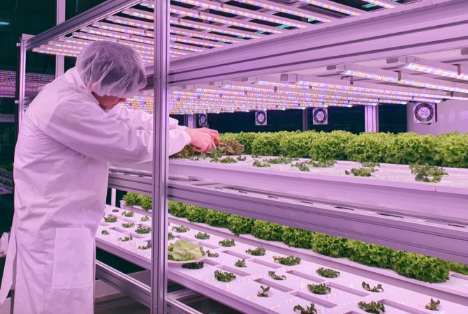 Vertical farming in practice