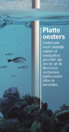 Infographic offshore windmolenpark