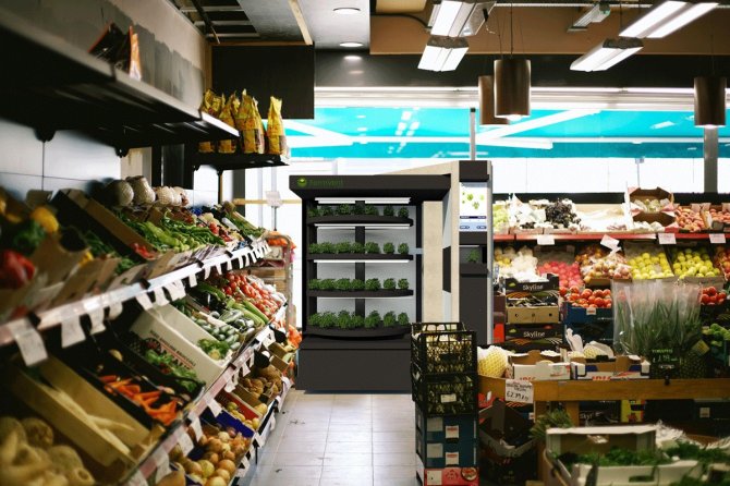 Artist impression: The FarmVent, as it is to be placed in stores in the fresh department. The vending machine holds some 500 plants that can be harvested on the spot. Photo credits: Team FarmVent