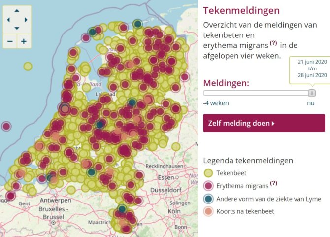 De tekenradar applicatie