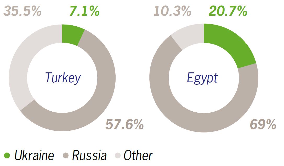 Ukraine’s and Russia’s share of total wheat imports. Source: UN Comtrade, 2020 figures