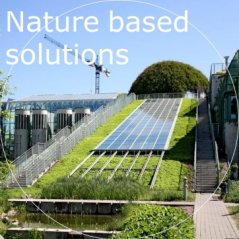 Nature based solutions.jpg