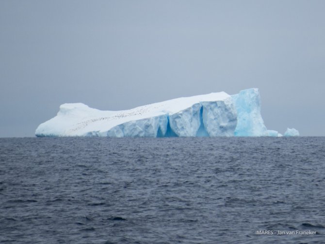 Langs de randen van het zeeijs passeerdem we vele ijsbergen met vele Keelband Pinguins erop. De grootte van de zwarte stipjes (= pinguins) illustreert de grootte van de berg.
