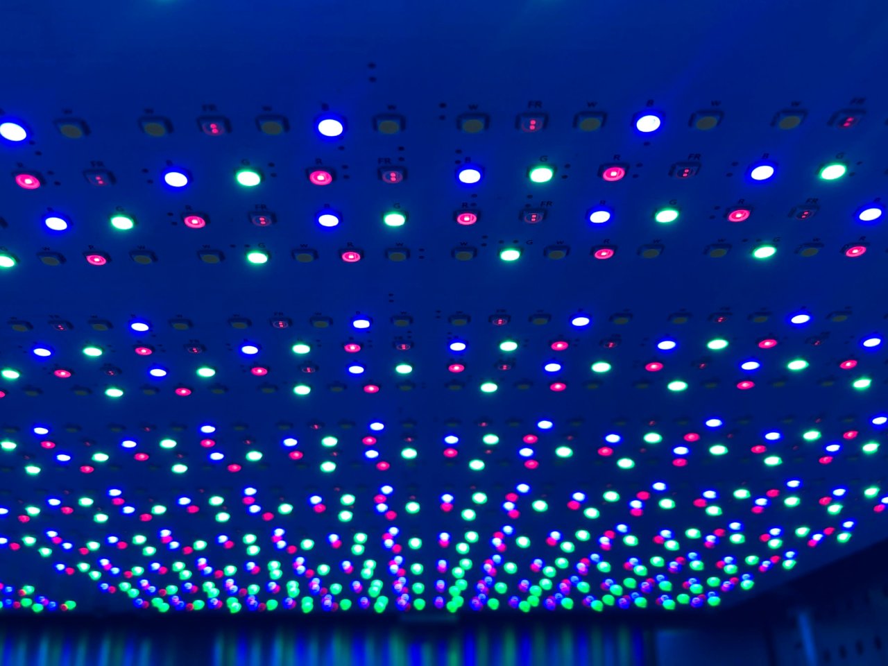 LED-incubator-crop.jpg
