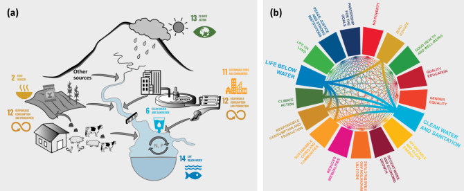 Figure 3: We found (a) Six SDGs that are highly relevant to nutrient pollution in Chinese water systems; (b) there are 319 interactions between SDG 6 “Clean Water and Sanitation”, 14 “Life Below Water” and other SDGs for the case of water pollution by nutrients in China. Published in Wang et al., (2022)