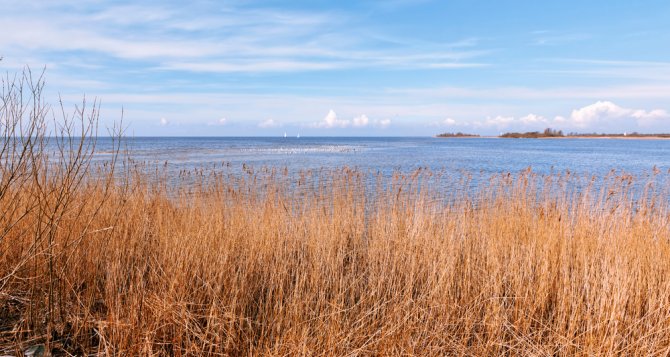 ijsselmeer_shutterstock_1663617262.jpg