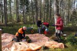 Log sawing