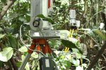 Our TLs and UCL's TLS scanning in Ankasa Reserve (Ghana 2016)