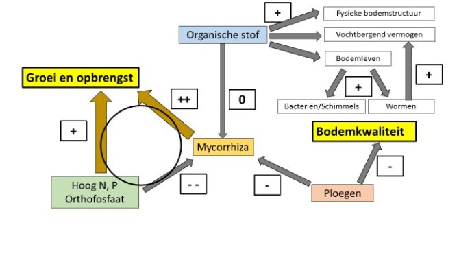 Afbeelding 1 maart 2023.jpg