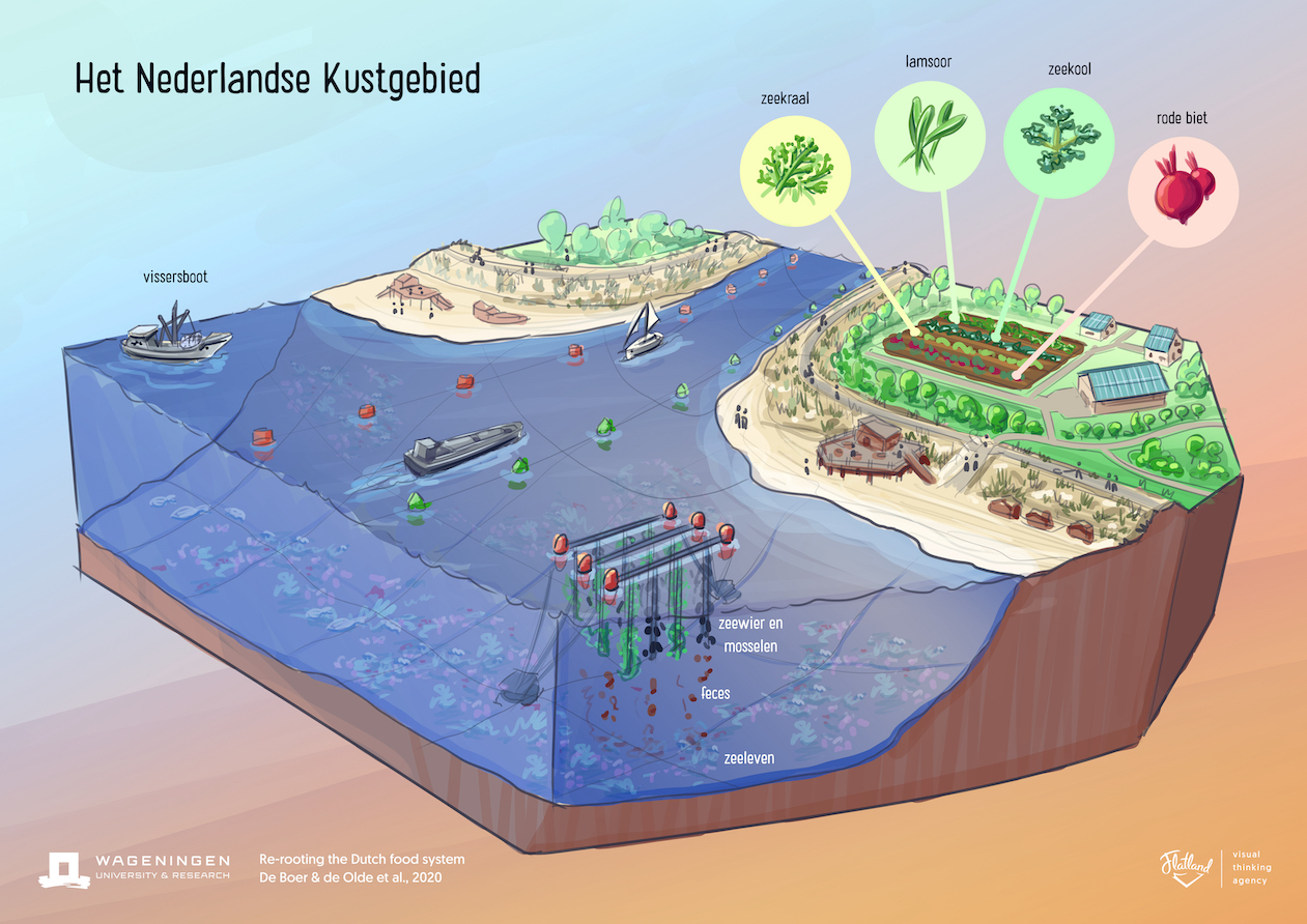 The Dutch Coastal Area_NL.jpg
