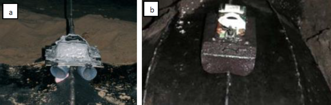 Direct attachment methods of tracking devices on turtles.