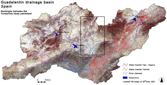 The Guadalentin Basin (from De Vente and Solé).
