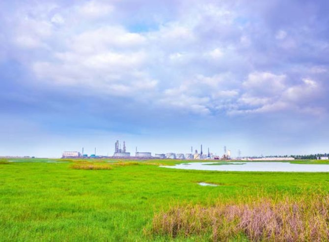 In the Water Nexus programme, scientists from Wageningen University & Research aim to close the industrial water cycle by using saline water and reusing wastewater treated in green infrastructure. Photo: Shutterstock