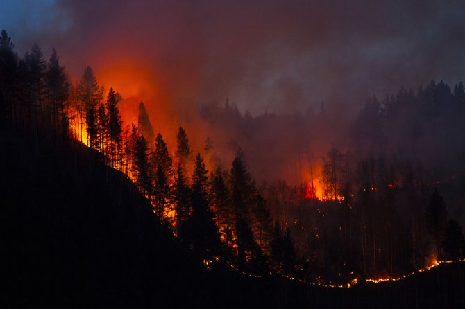Forest fires are becoming more frequent due to increasing droughts.