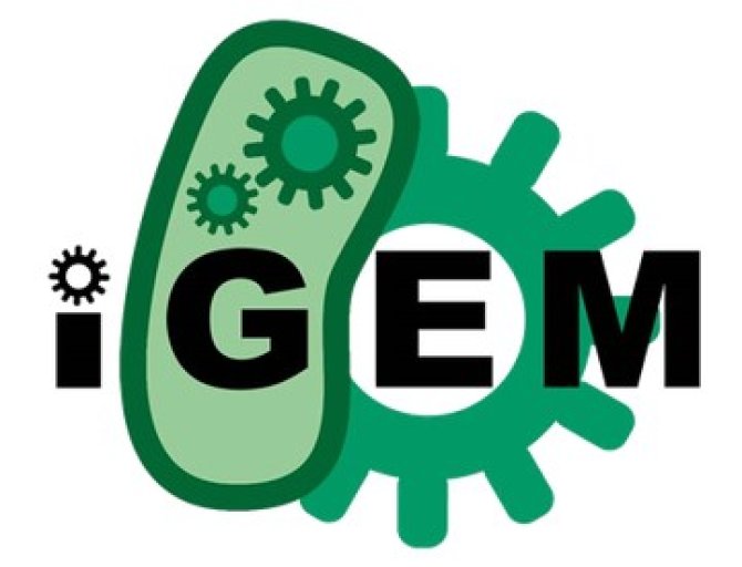 Logo iGEM