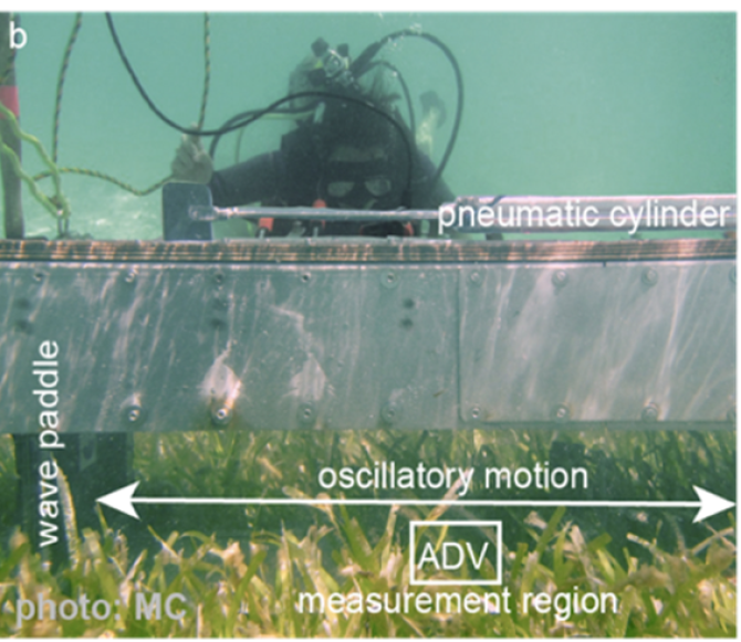 Figuur 3 b: Er werden innovatieve stroom goten onder water gebruikt, ontwikkeld door co-auteurs van het Nederlands Instituut voor Onderzoek der Zee (James et al. 2020), om de stabiliteit van het sediment te meten - een van de ecosysteemfuncties die zijn onderzocht.