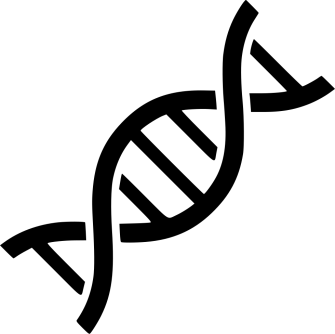 dna helix.png
