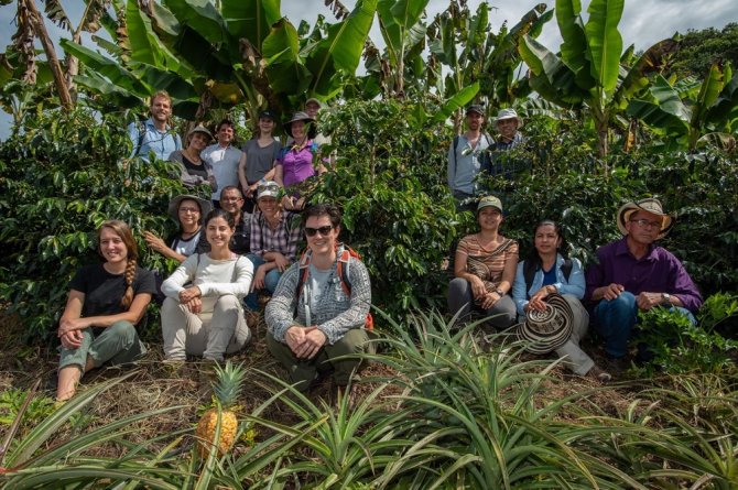 Photo: Group of researchers from the Alliance of Bioversity International and CIAT and Wageningen University and Research and farmers in a coffee field on their visit to El Dovio, Colombia.