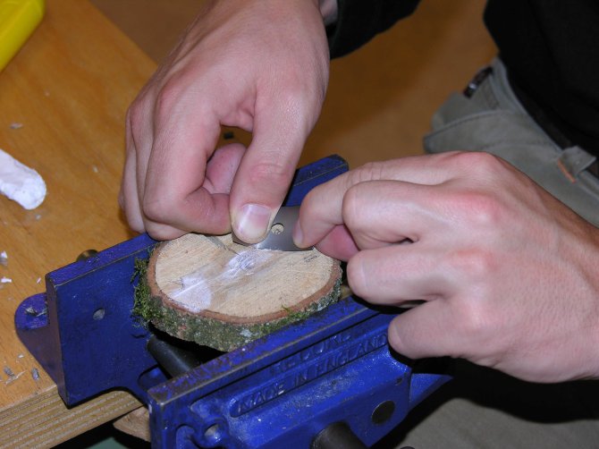 Cutting surface with razor blades