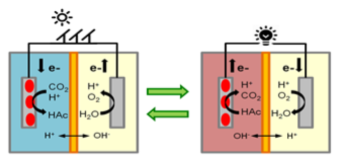 Schematic overview of the Bio-electrical battery.  